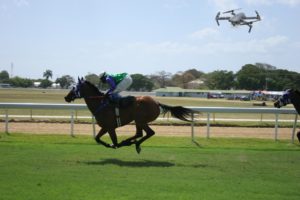 Drone Following Horse race